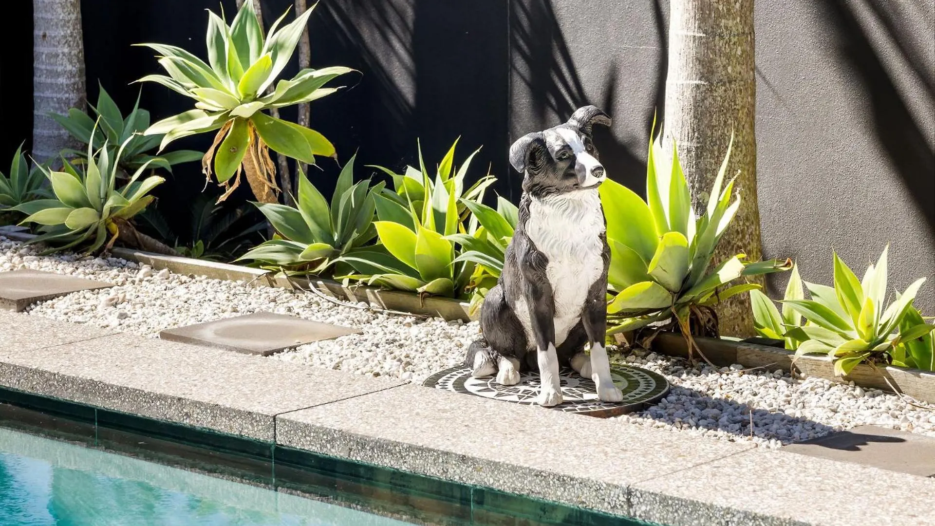 Family & Pet Beach House Yaroomba Αυστραλία